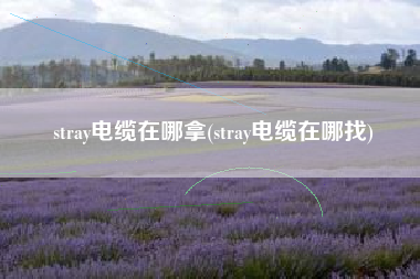 stray电缆在哪拿(stray电缆在哪找)