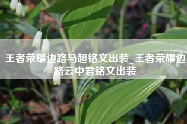 王者荣耀边路马超铭文出装_王者荣耀边路云中君铭文出装