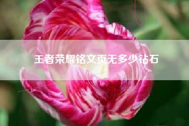 王者荣耀铭文页无多少钻石