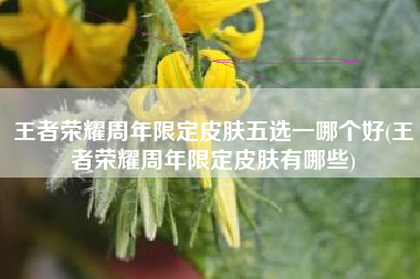 王者荣耀周年限定皮肤五选一哪个好(王者荣耀周年限定皮肤有哪些)