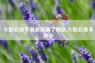火影忍者手游老区满了想进,火影忍者手游中