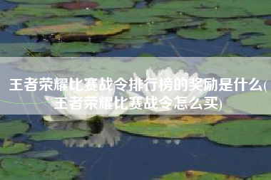 王者荣耀比赛战令排行榜的奖励是什么(王者荣耀比赛战令怎么买)