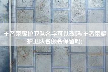 王者荣耀护卫队名字可以改吗(王者荣耀护卫队名额会保留吗)