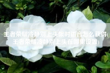 王者荣耀冷静别上头限时语音怎么获得(王者荣耀冷静别上头在哪里设置)