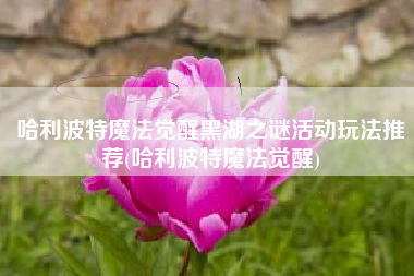 哈利波特魔法觉醒黑湖之谜活动玩法推荐(哈利波特魔法觉醒)