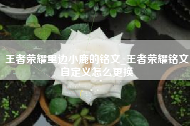 王者荣耀里边小鹿的铭文_王者荣耀铭文自定义怎么更换
