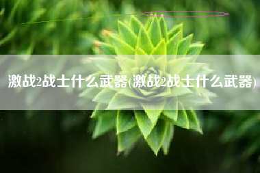 激战2战士什么武器(激战2战士什么武器)