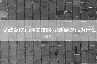 灵魂潮汐3-5通关攻略(灵魂潮汐1-5为什么91%)