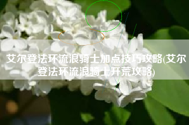 艾尔登法环流浪骑士加点技巧攻略(艾尔登法环流浪骑士开荒攻略)