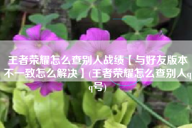 王者荣耀怎么查别人战绩【与好友版本不一致怎么解决】(王者荣耀怎么查别人qq号)