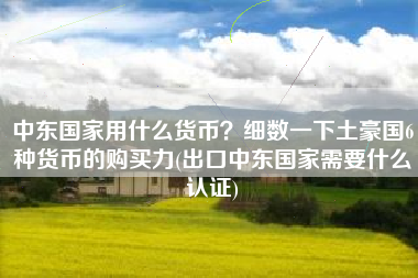 中东国家用什么货币？细数一下土豪国6种货币的购买力(出口中东国家需要什么认证)
