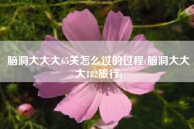 脑洞大大大65关怎么过的过程(脑洞大大大182旅行)