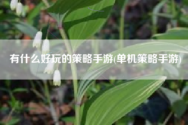 有什么好玩的策略手游(单机策略手游)