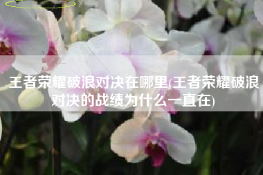 王者荣耀破浪对决在哪里(王者荣耀破浪对决的战绩为什么一直在)