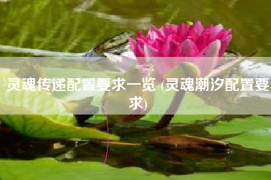 灵魂传递配置要求一览 (灵魂潮汐配置要求)