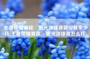 王者荣耀夏侯惇匿光决锋者新皮肤多少钱(王者荣耀夏侯惇匿光决锋者怎么样)