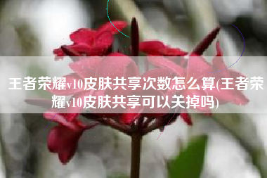 王者荣耀v10皮肤共享次数怎么算(王者荣耀v10皮肤共享可以关掉吗)