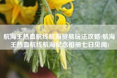 航海王热血航线航海贸易玩法攻略(航海王热血航线航海纪念相册七日见闻)