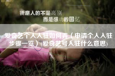 爱奇艺个人入驻如何弄（申请个人入驻步骤一览）(爱奇艺号入驻什么意思)