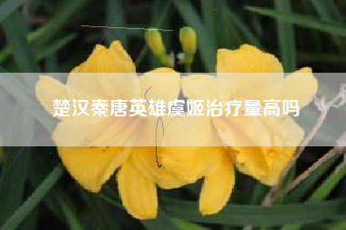 楚汉秦唐英雄虞姬治疗量高吗