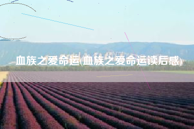 血族之爱命运(血族之爱命运读后感)