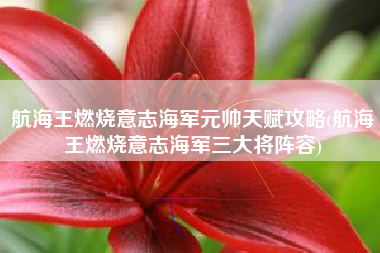 航海王燃烧意志海军元帅天赋攻略(航海王燃烧意志海军三大将阵容)
