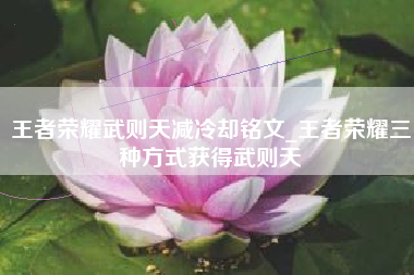 王者荣耀武则天减冷却铭文_王者荣耀三种方式获得武则天