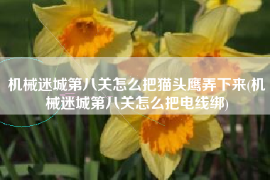 机械迷城第八关怎么把猫头鹰弄下来(机械迷城第八关怎么把电线绑)