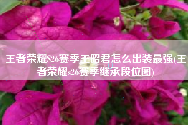 王者荣耀S26赛季王昭君怎么出装最强(王者荣耀s26赛季继承段位图)