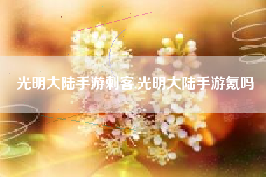 光明大陆手游刺客,光明大陆手游氪吗