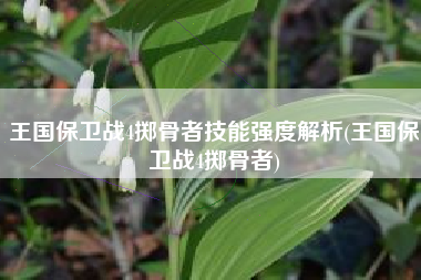 王国保卫战4掷骨者技能强度解析(王国保卫战4掷骨者)