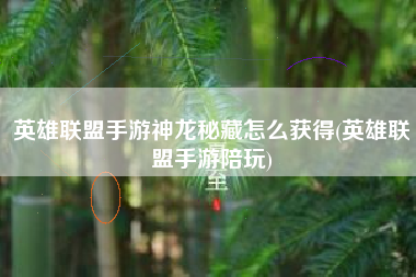 英雄联盟手游神龙秘藏怎么获得(英雄联盟手游陪玩)
