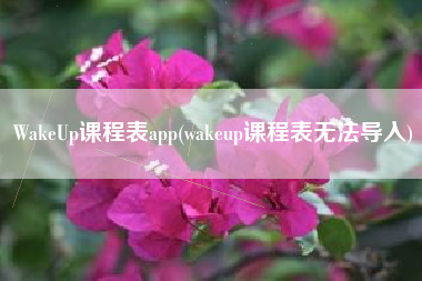 WakeUp课程表app(wakeup课程表无法导入)