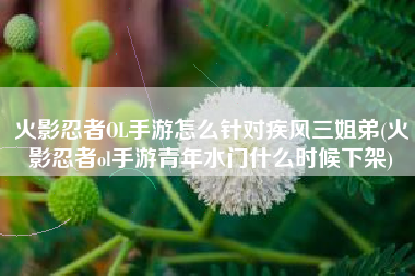 火影忍者OL手游怎么针对疾风三姐弟(火影忍者ol手游青年水门什么时候下架)
