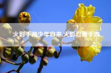 火影手游少年自来,火影忍者手游