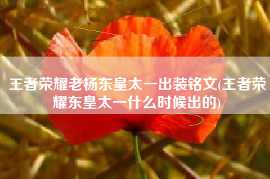 王者荣耀老杨东皇太一出装铭文(王者荣耀东皇太一什么时候出的)