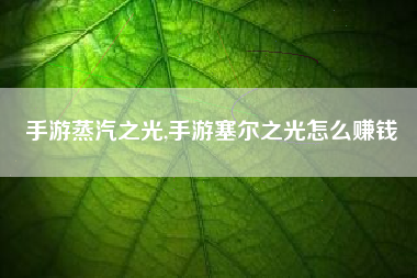 手游蒸汽之光,手游塞尔之光怎么赚钱