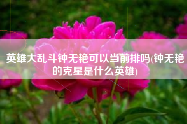 英雄大乱斗钟无艳可以当前排吗(钟无艳的克星是什么英雄)