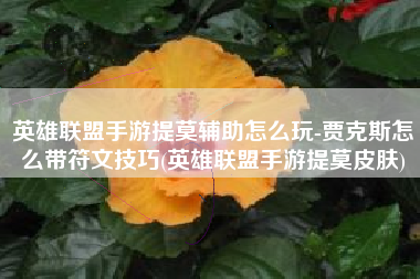 英雄联盟手游提莫辅助怎么玩-贾克斯怎么带符文技巧(英雄联盟手游提莫皮肤)