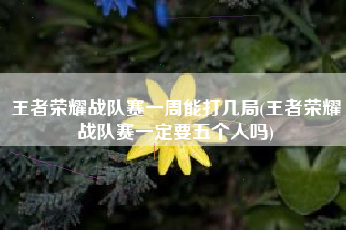 王者荣耀战队赛一周能打几局(王者荣耀战队赛一定要五个人吗)
