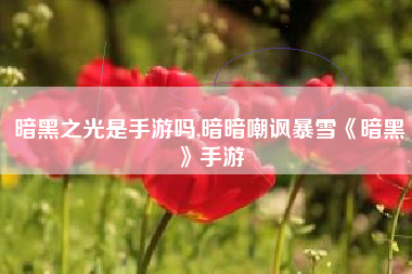 暗黑之光是手游吗,暗暗嘲讽暴雪《暗黑》手游