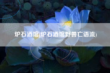 炉石酒馆(炉石酒馆野兽亡语流)