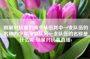 明星对抗赛的两支队伍其中一支队伍的名称为少年飞驰队另一支队伍的名称是什么呢(明星对抗赛直播)