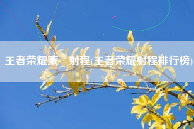 王者荣耀蒙犽射程(王者荣耀射程排行榜)