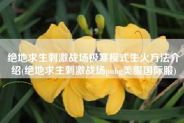 绝地求生刺激战场极寒模式生火方法介绍(绝地求生刺激战场pubg美服国际服)