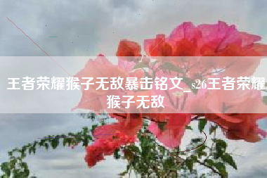 王者荣耀猴子无敌暴击铭文_s26王者荣耀猴子无敌