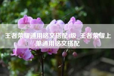 王者荣耀通用铭文搭配4级_王者荣耀上单通用铭文搭配