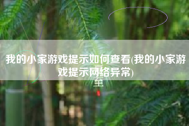 我的小家游戏提示如何查看(我的小家游戏提示网络异常)