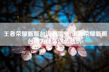 王者荣耀甄姬台词有哪些(王者荣耀甄姬台词为什么这么悲伤)