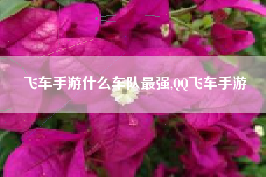 飞车手游什么车队最强,QQ飞车手游